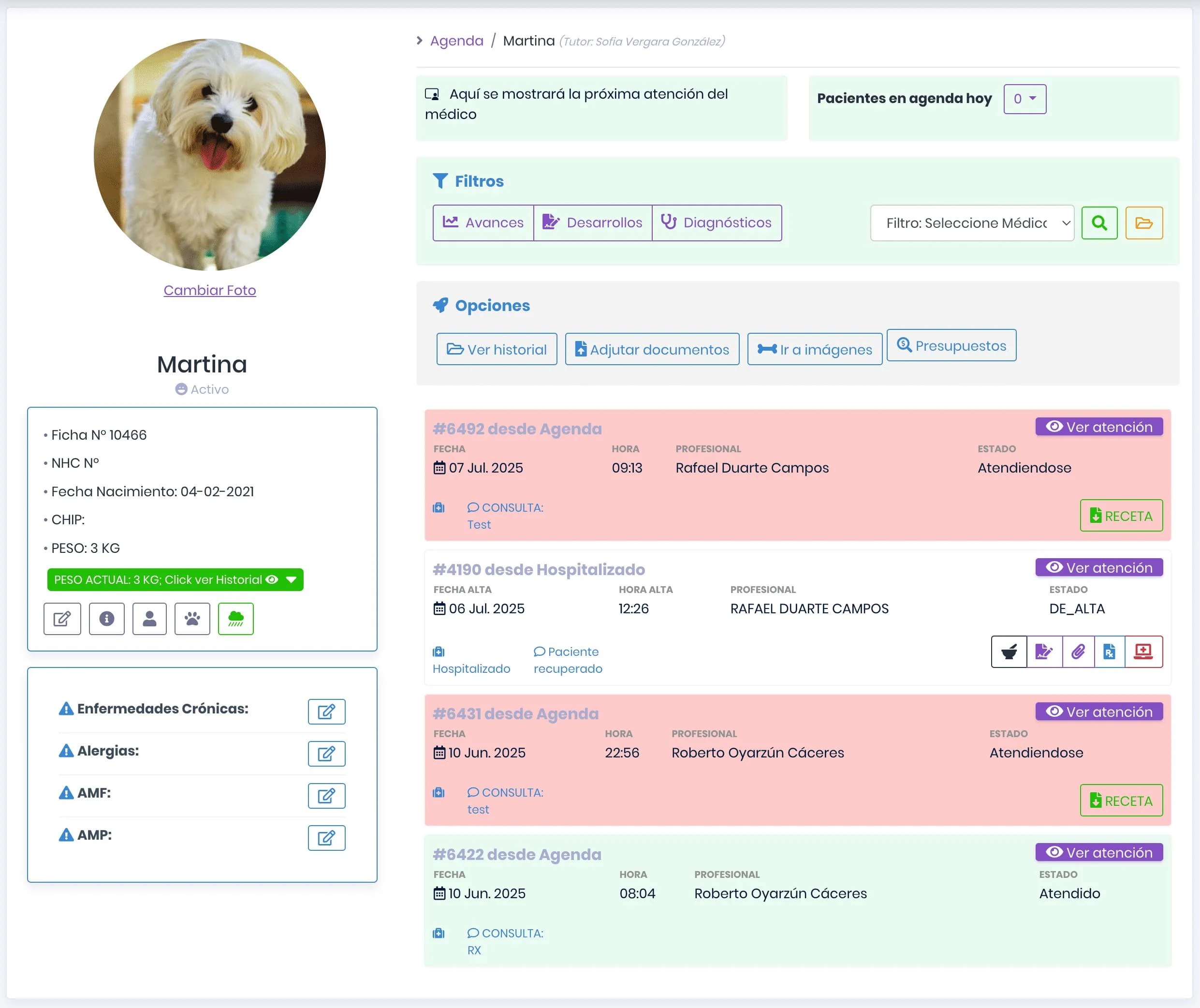 Ficha Clínica de Wirevet