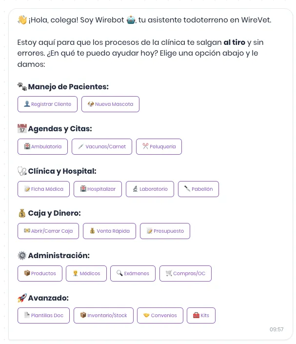 Wirebot asistente inteligente Wirevet