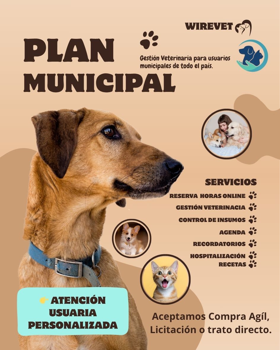 Imagen del plan Pyme 6UF/mes del sistema de wirevet