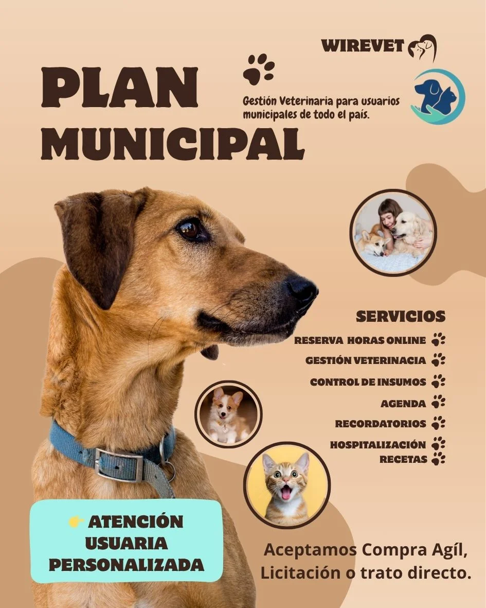 Imagen del plan Municipal 12UF/mes del sistema de wirevet
