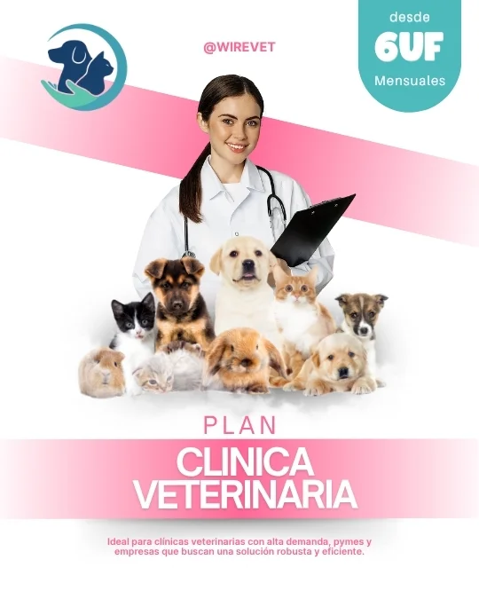 Imagen del plan Pyme 6UF/mes del sistema de wirevet